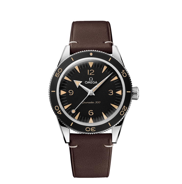 Omega Seamaster Watch